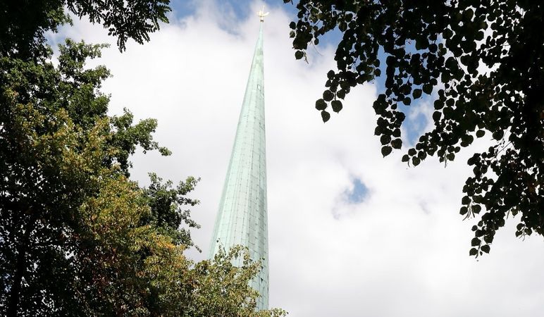 Kirchturm St. Nikolai - umrahmt von grünen Bäumen